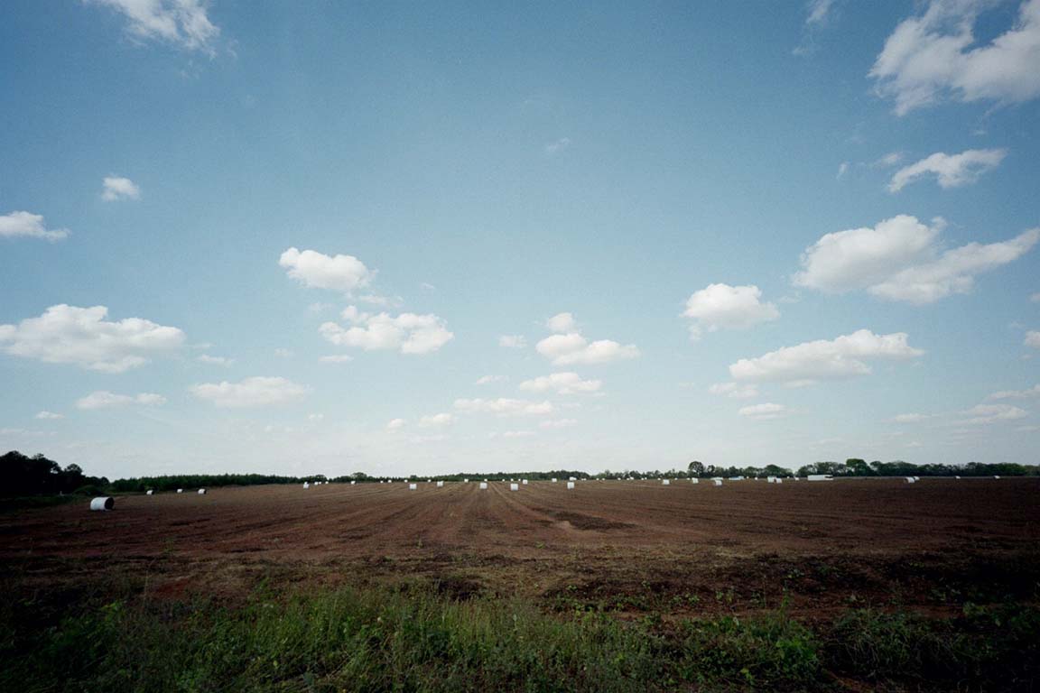 収穫の跡の写真